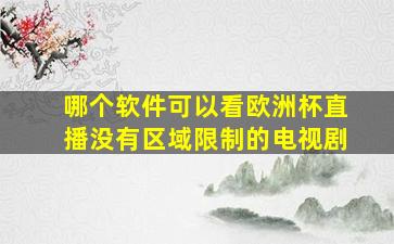 哪个软件可以看欧洲杯直播没有区域限制的电视剧