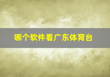 哪个软件看广东体育台