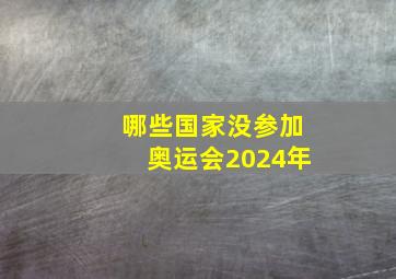 哪些国家没参加奥运会2024年