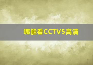 哪能看CCTV5高清