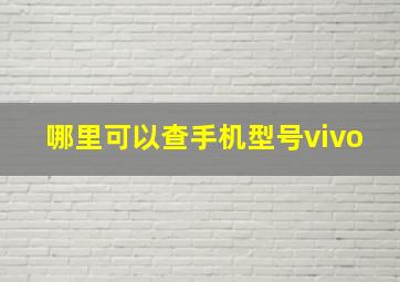 哪里可以查手机型号vivo