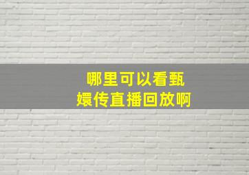 哪里可以看甄嬛传直播回放啊