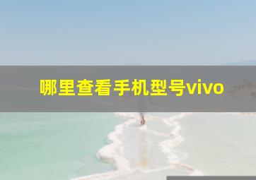 哪里查看手机型号vivo