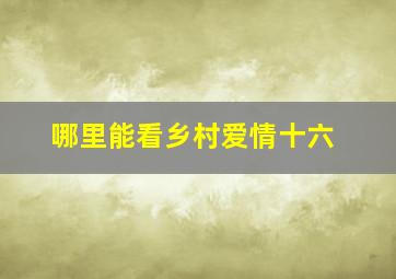 哪里能看乡村爱情十六