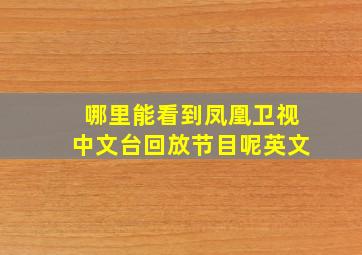 哪里能看到凤凰卫视中文台回放节目呢英文