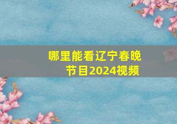 哪里能看辽宁春晚节目2024视频