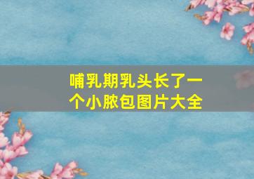 哺乳期乳头长了一个小脓包图片大全