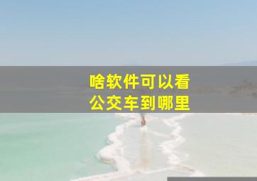 啥软件可以看公交车到哪里