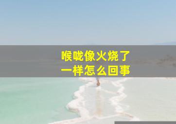 喉咙像火烧了一样怎么回事