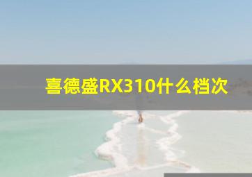 喜德盛RX310什么档次