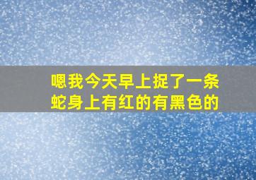 嗯我今天早上捉了一条蛇身上有红的有黑色的