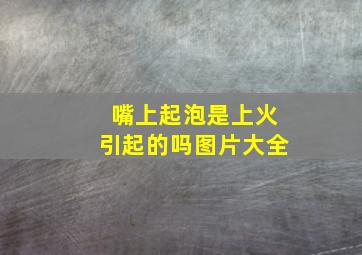 嘴上起泡是上火引起的吗图片大全