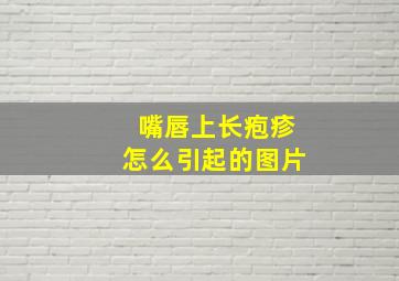 嘴唇上长疱疹怎么引起的图片