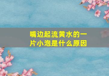 嘴边起流黄水的一片小泡是什么原因