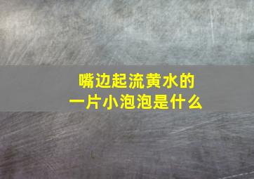 嘴边起流黄水的一片小泡泡是什么