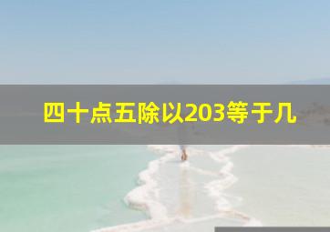 四十点五除以203等于几