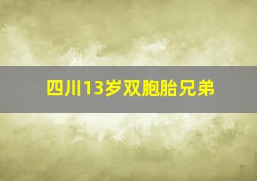 四川13岁双胞胎兄弟