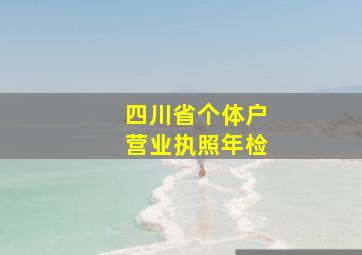 四川省个体户营业执照年检