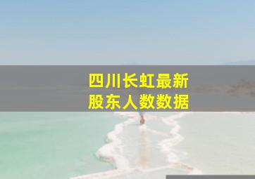 四川长虹最新股东人数数据