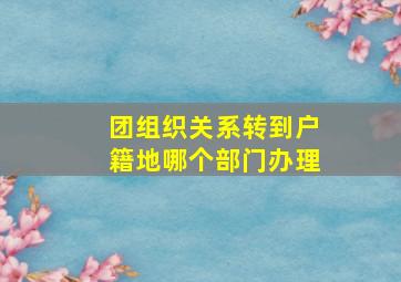 团组织关系转到户籍地哪个部门办理