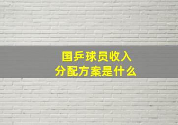 国乒球员收入分配方案是什么