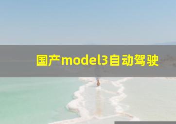 国产model3自动驾驶