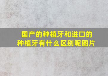 国产的种植牙和进口的种植牙有什么区别呢图片