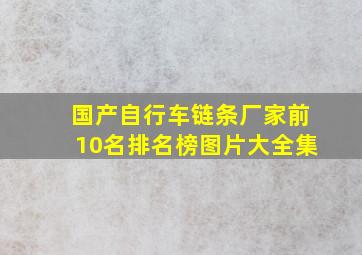 国产自行车链条厂家前10名排名榜图片大全集