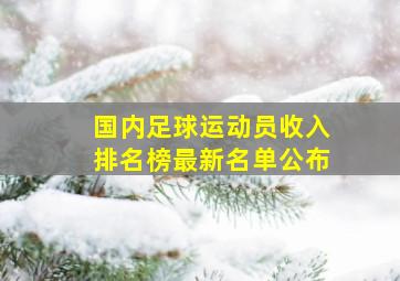 国内足球运动员收入排名榜最新名单公布