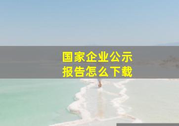 国家企业公示报告怎么下载