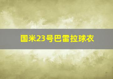 国米23号巴雷拉球衣