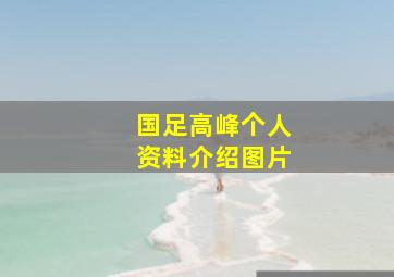 国足高峰个人资料介绍图片