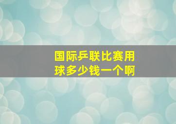 国际乒联比赛用球多少钱一个啊