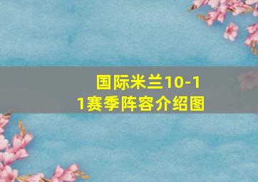 国际米兰10-11赛季阵容介绍图