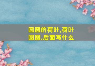 圆圆的荷叶,荷叶圆圆,后面写什么