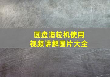 圆盘造粒机使用视频讲解图片大全