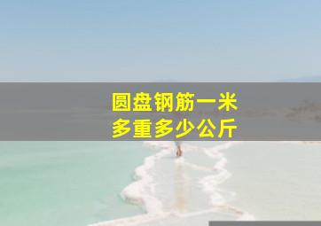 圆盘钢筋一米多重多少公斤