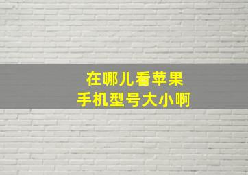 在哪儿看苹果手机型号大小啊