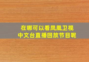 在哪可以看凤凰卫视中文台直播回放节目呢