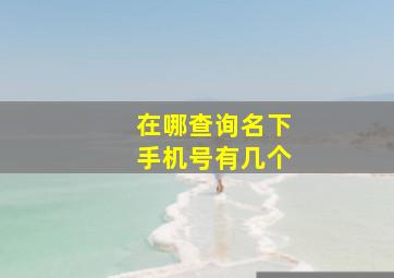 在哪查询名下手机号有几个