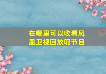 在哪里可以收看凤凰卫视回放呢节目