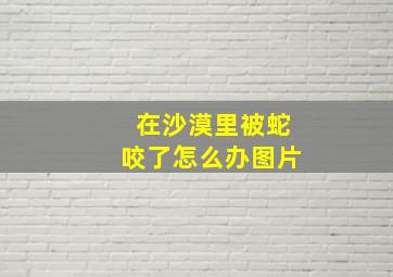 在沙漠里被蛇咬了怎么办图片