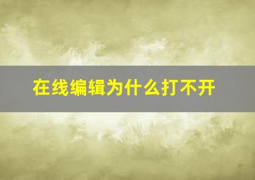 在线编辑为什么打不开