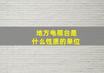 地方电视台是什么性质的单位