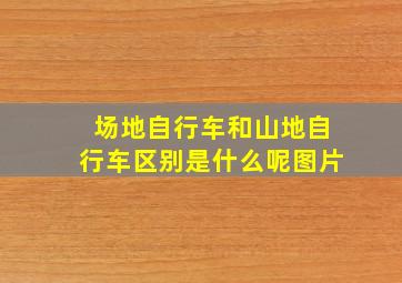 场地自行车和山地自行车区别是什么呢图片