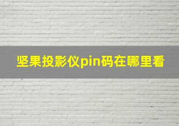 坚果投影仪pin码在哪里看