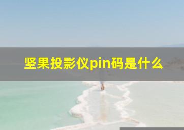 坚果投影仪pin码是什么