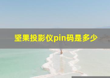 坚果投影仪pin码是多少