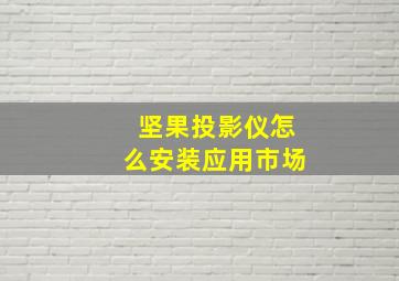 坚果投影仪怎么安装应用市场