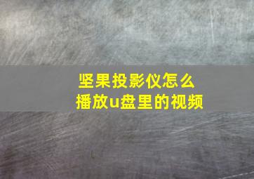 坚果投影仪怎么播放u盘里的视频